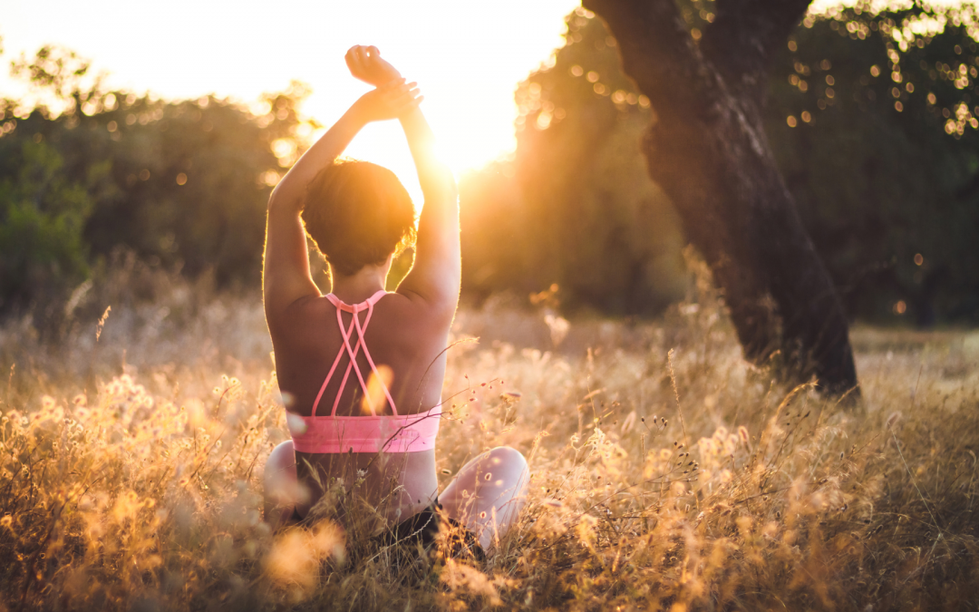 Automne : Une Période de Transition et d’Ouverture