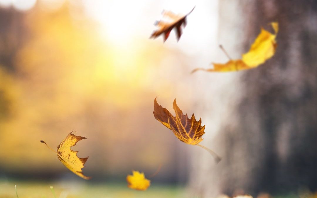 Vairagya: Closures and New Beginnings